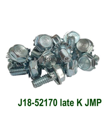 Transmission cover bolt kit